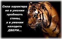 Сила характера. Сила характера не в умении. Сила характера это. Сила характера не в умении пробивать стены а в умении. Сила характера не в умении пробивать стены а в умении находить двери.