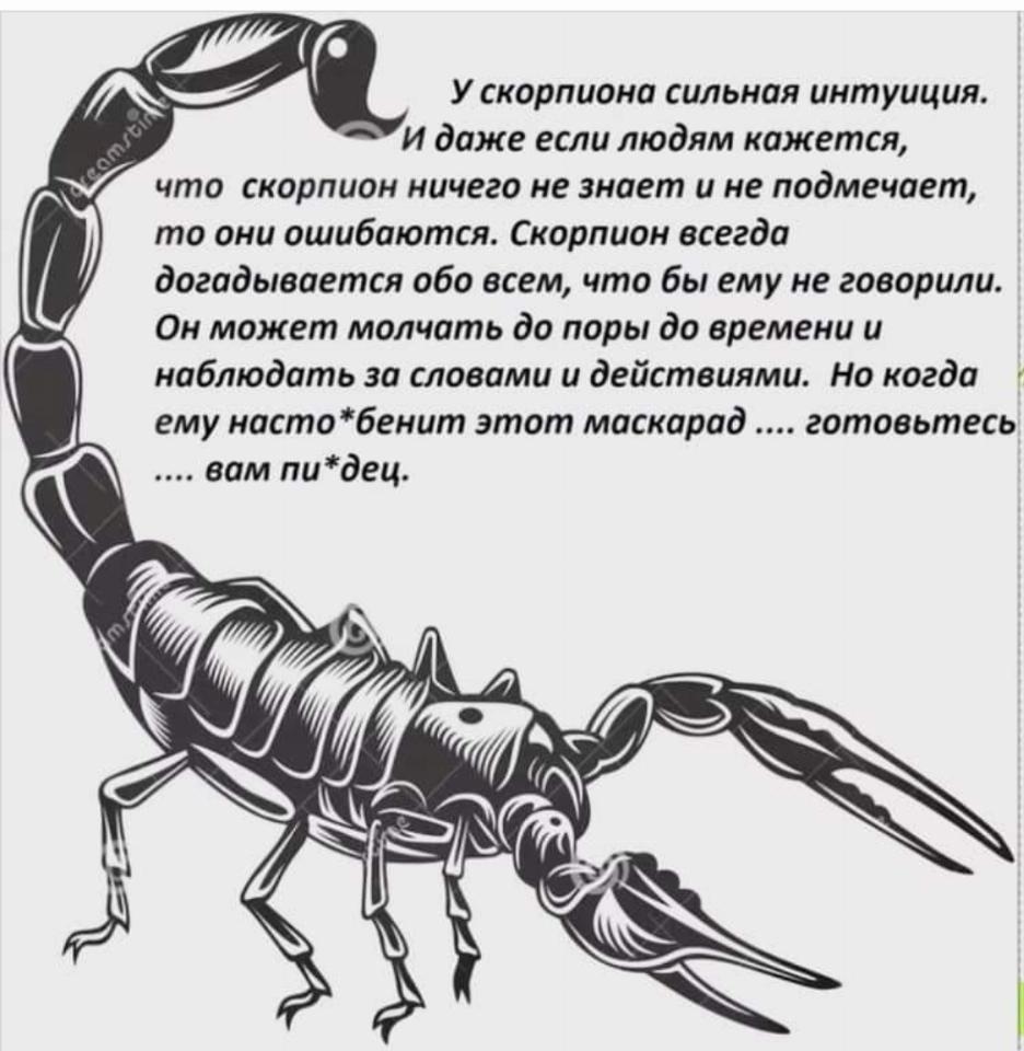 Диета знак зодиака скорпион за месяц